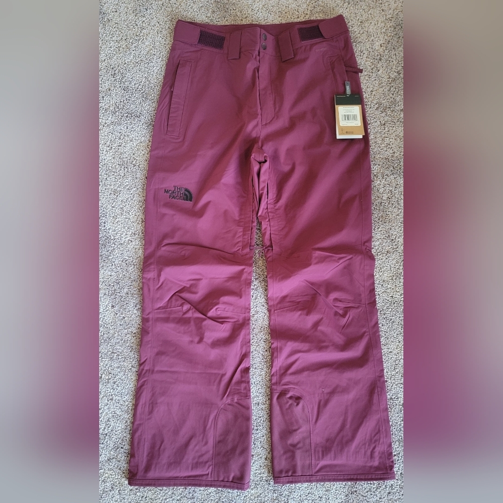 NWT Lg The North Face Freedom Stretch Ski Pants